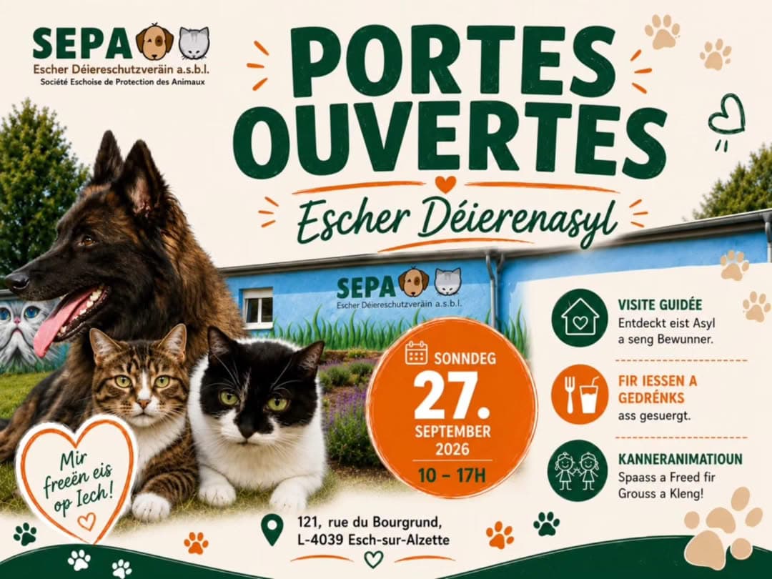 Journée portes ouvertes au refuge pour animaux