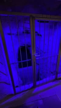 Un été dans la forteresse