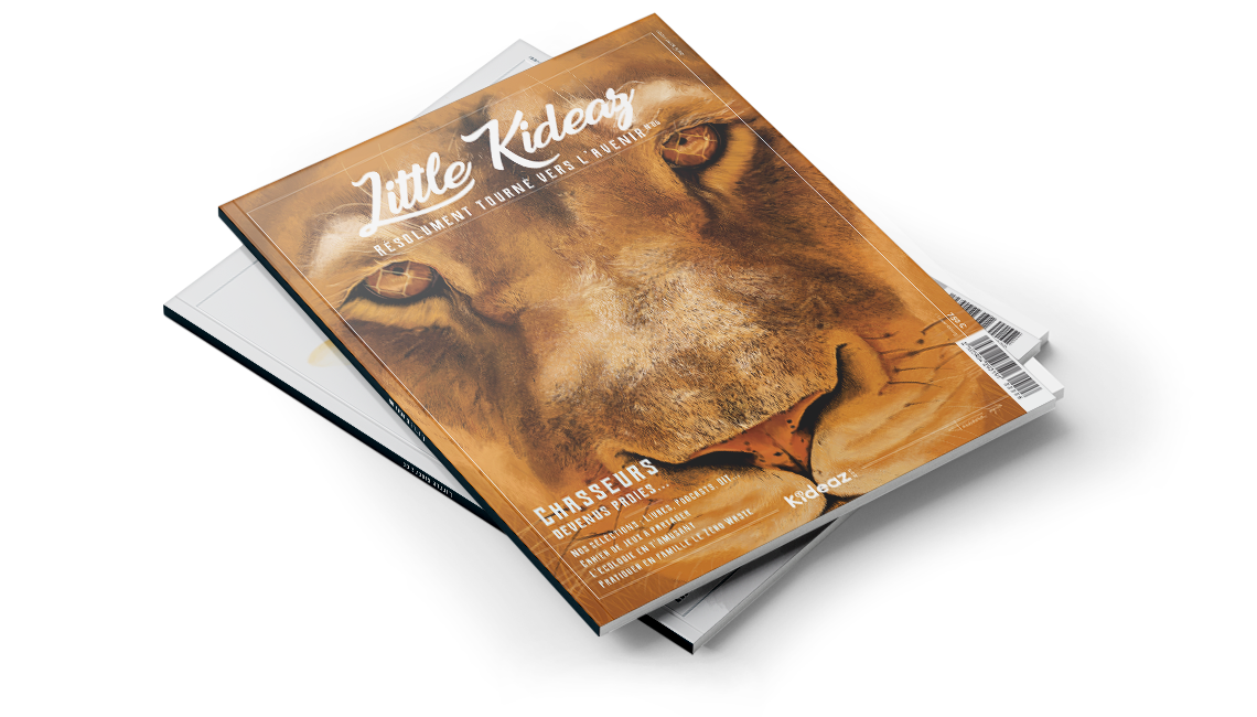 Kideaz régie - Layer magazine Little Kideaz n°5