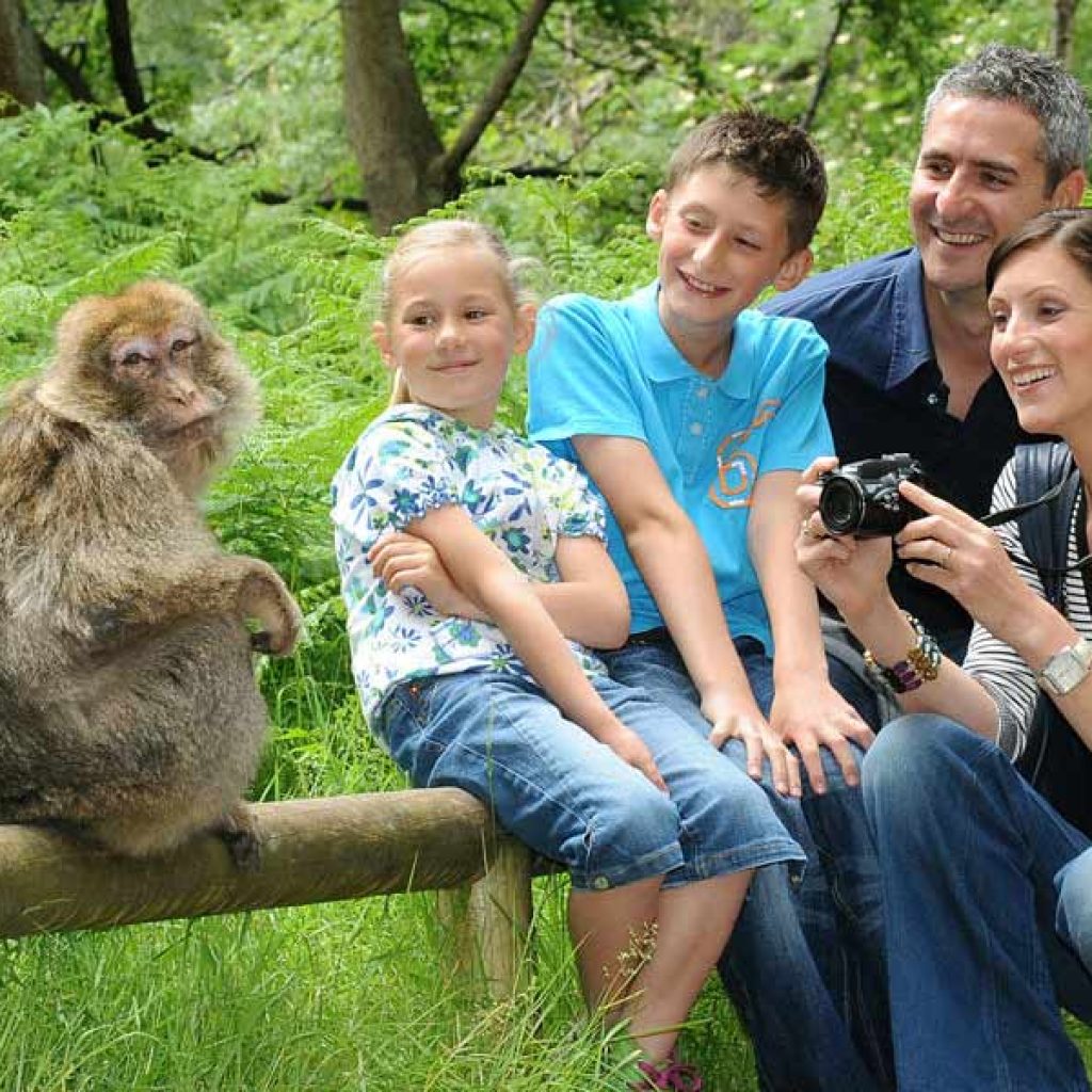 kideaz activite zoo fermes montagne des singes kintzheim 03