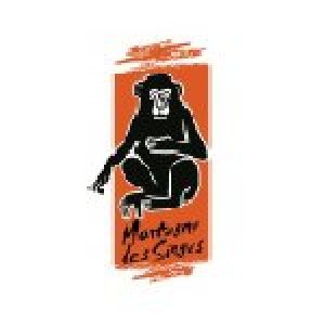 Montagne Des Singes