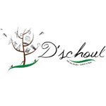 logo dschoul