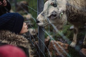 kideaz robbesscheier clervaux luxembourg enfant animaux