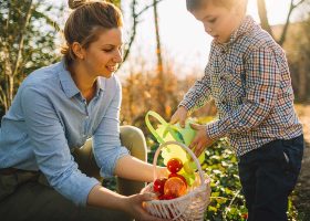 kideaz chasse oeufs article