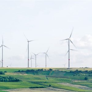 Sustainable Living