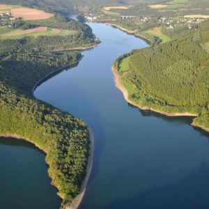 kideaz-haute-sure-foret
