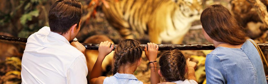 kideaz musee famille sciences naturelles
