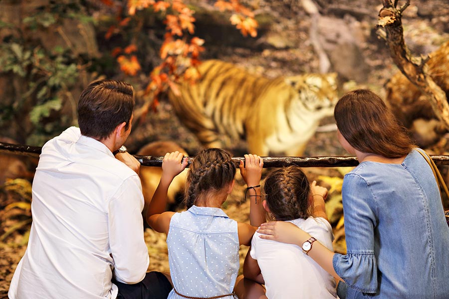 kideaz parents enfants famille musee histoire naturelle sciences