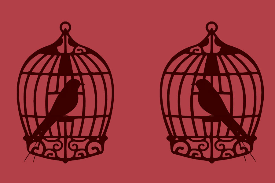 kideaz oiseaux cage dessin prison