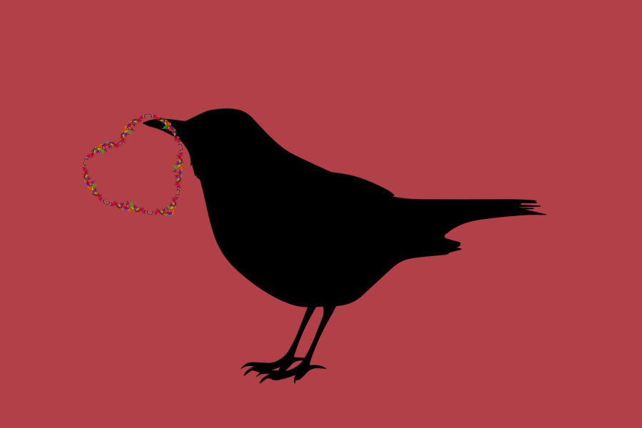kideaz oiseau coeur fleur couronne