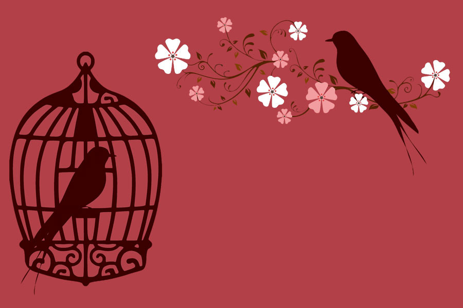 kideaz oiseaux cage branche fleur