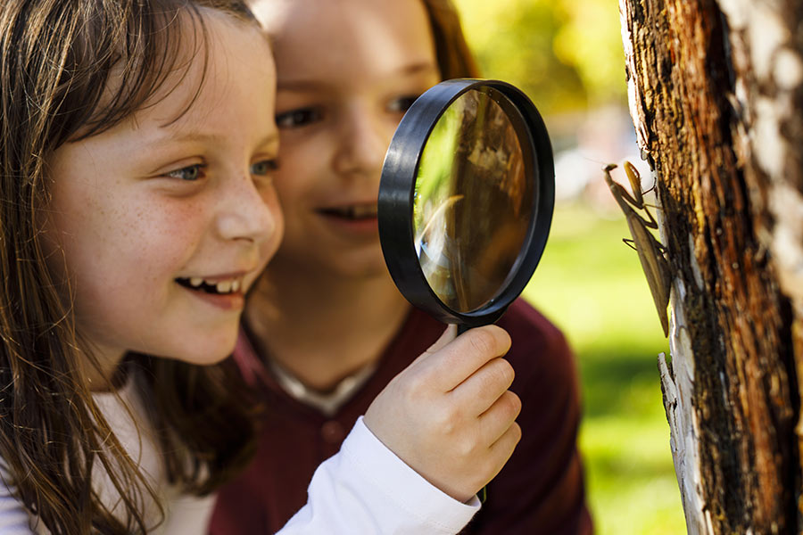 kideaz explorateurs bonheur creche nature decouverte