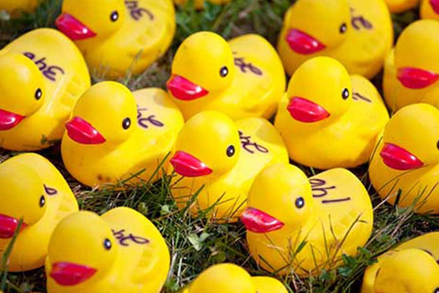 kideaz top5 duck race