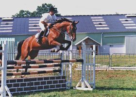 kideaz ecole equitation dominique remy 4