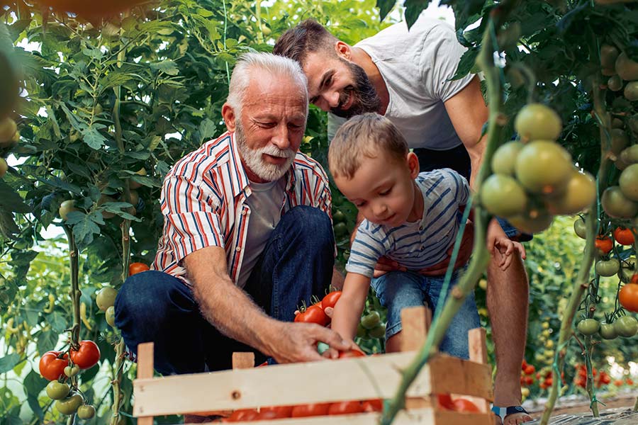 kideaz cueillette famille legumes fruits saison