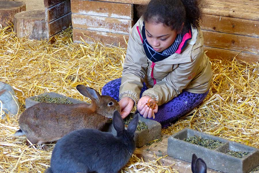 kideaz ferme pedagogique naut nourrissage lapins enfant