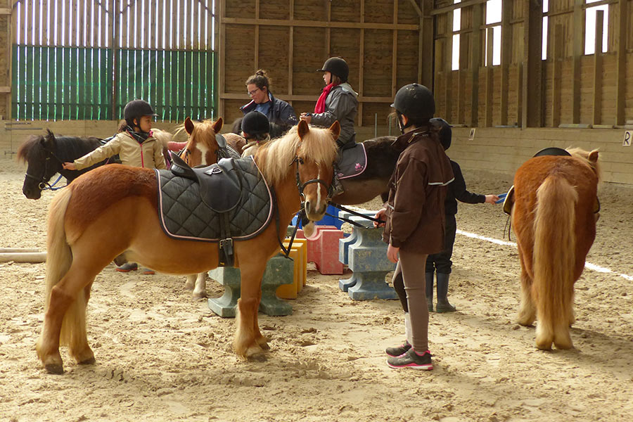 kideaz ferme pedagogique naut poney enfants 2