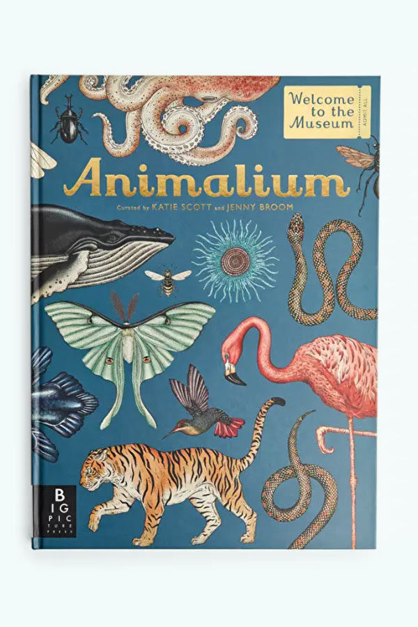 kideaz cloche dor cadeau noel animalium livre