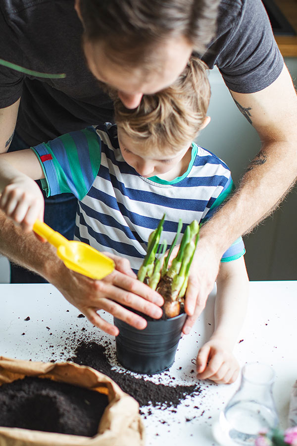 kideaz jardinage enfant parent jardin potager legumes verticale