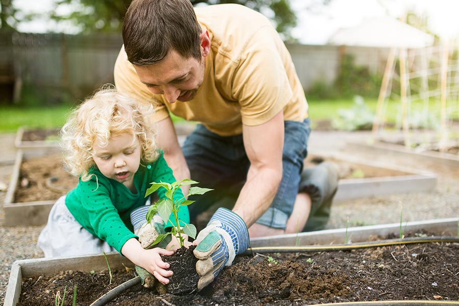 kideaz jardinage potager enfant parent jardin