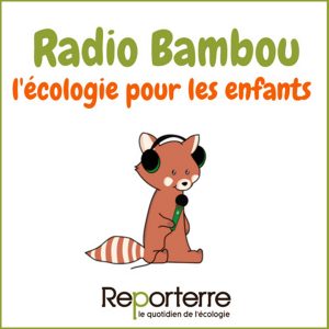 kideaz radio bambou podcast ecologie enfants