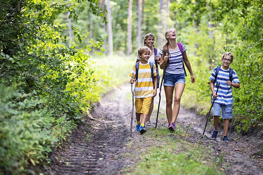 kideaz randonnee foret enfants parents promenade nature