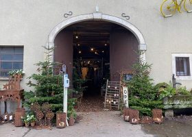 kideaz boutique fleuriste de fleurs en fleurs schifflange noel