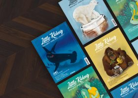 little kideaz magazine ludo educatif famille enfants abonnement