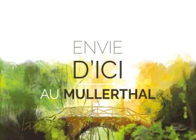 kideaz copyright mullerthal cover