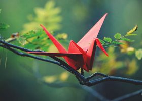 kideaz copyright origami 3D cover