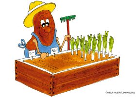 kideaz copyright natur musee luxembourg beim gaertner