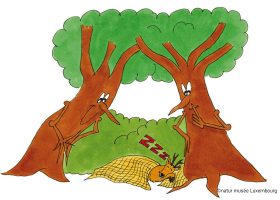 kideaz copyright natur musee luxembourg bett am besch