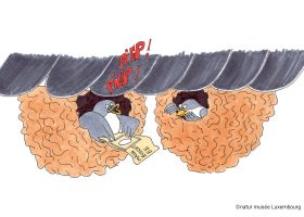 kideaz copyright natur musee luxembourg stallschmuewel dortoiren