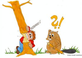 kideaz copyright natur musee luxembourg biber expeditioun