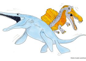 kideaz copyright natur musee luxembourg dinodraach mieresmonster