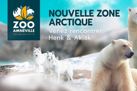 kideaz copyright zoo amneville nouvelle zone arctique 2022