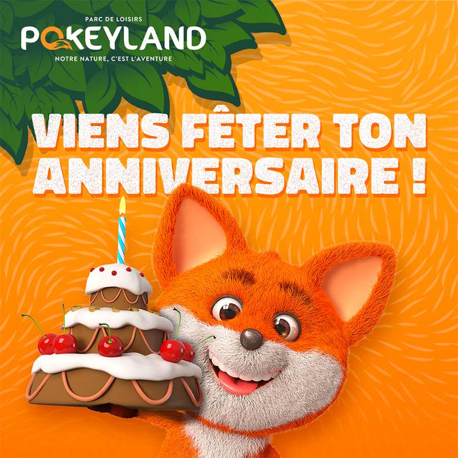 kideaz copyright pokeyland fetes anniversaire