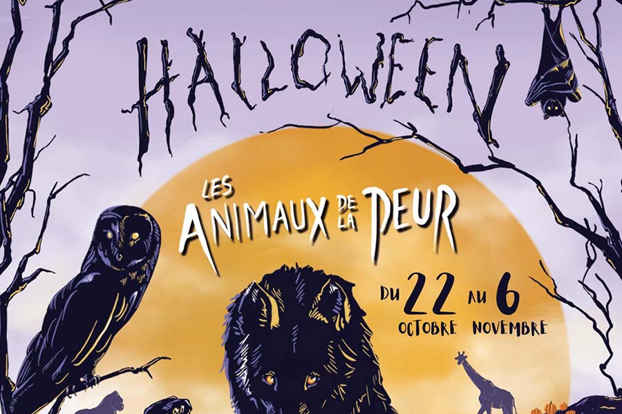 format event Halloween au Zoo d Amnéville