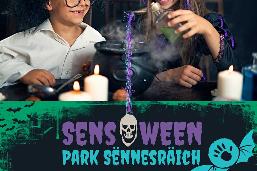 kideaz copyright park sennesraich sensoween