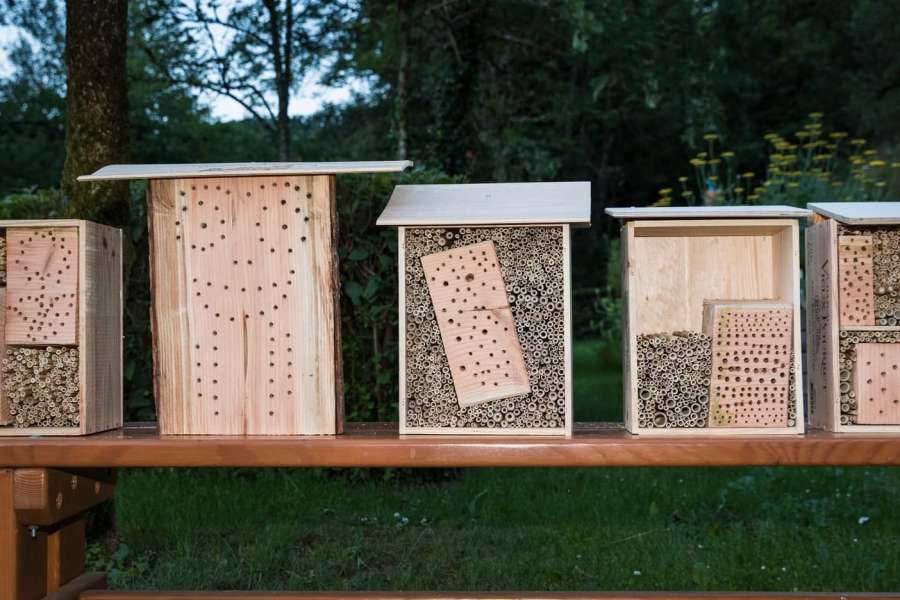 kideaz copyright  workshop insektenhotel bauen