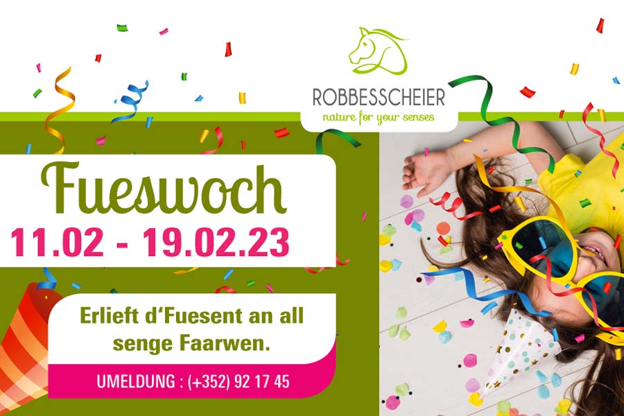 kideaz copyright Semaine de carnaval à la Robbesscheier