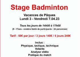 kideaz copyright stage badminton