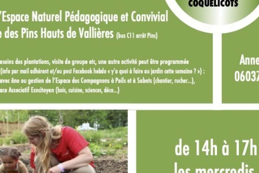 kideaz copyright  bienvenue au jardin partage 1