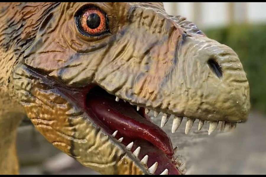 kideaz copyright  dinos und drachen grenzen der anpassung