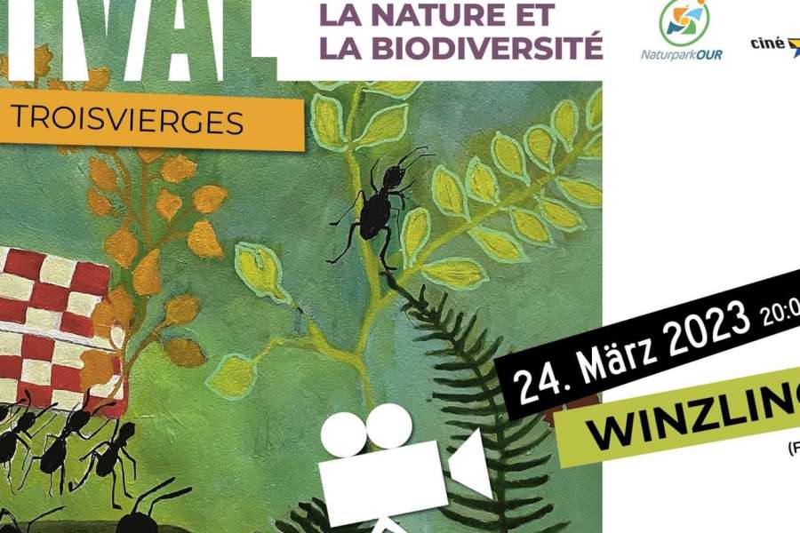 kideaz copyright  filmfestival winzlinge das tal der verlorenen ameisen
