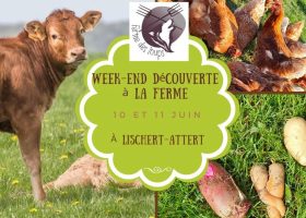 kideaz copyright decouverte ferme ferme des loups
