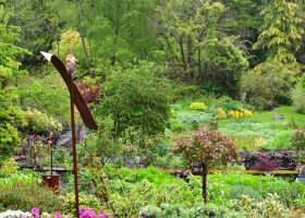 kideaz copyright jardin des yaks commune de petange