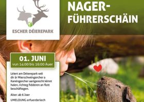 kideaz copyright nager fuhrerschain echer deierepark