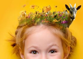 kideaz copyright stage pour enfants prehisto museum liege