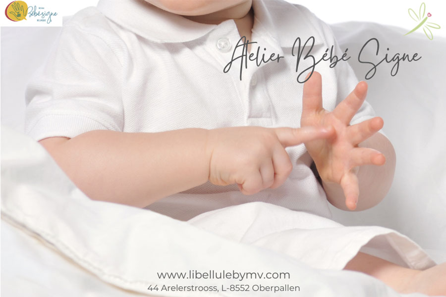 kideaz copyright libellule by mv atelier bebe signe